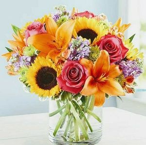 Meet your Posher, Rhonda